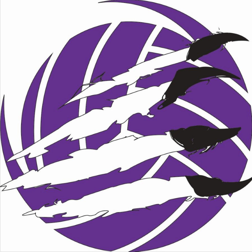 Lady Cougars Volleyball
