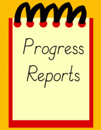 T-3 Progress Reports