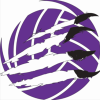 Lady Cougars Volleyball