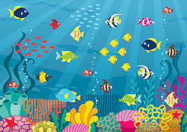 NC Aquarium - JES Campus - Mon. - Wed.