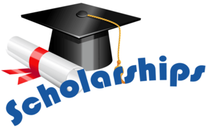 Senior Scholarship Page