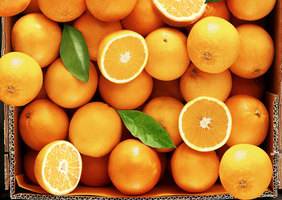 Band Fruit Sale