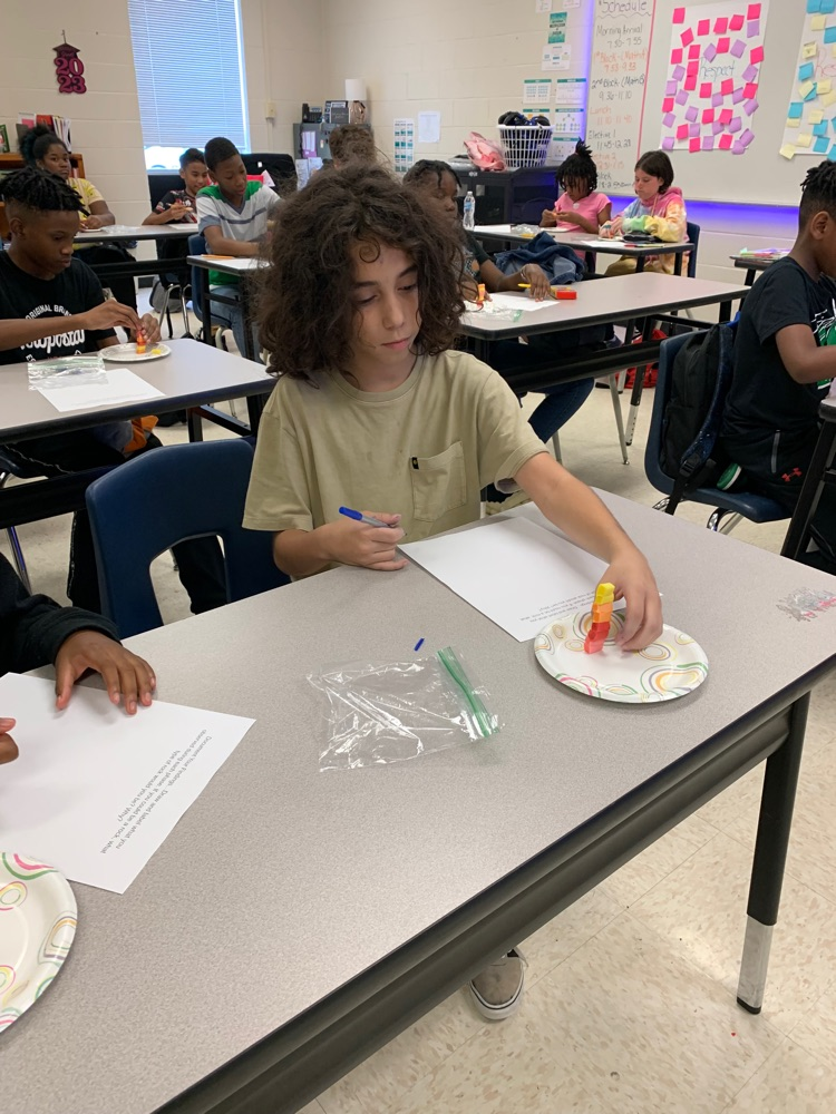 rock cycle